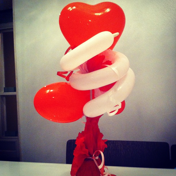 My Happiness Project: February