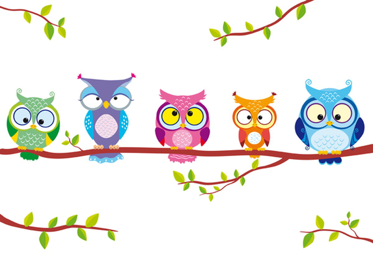 owl five