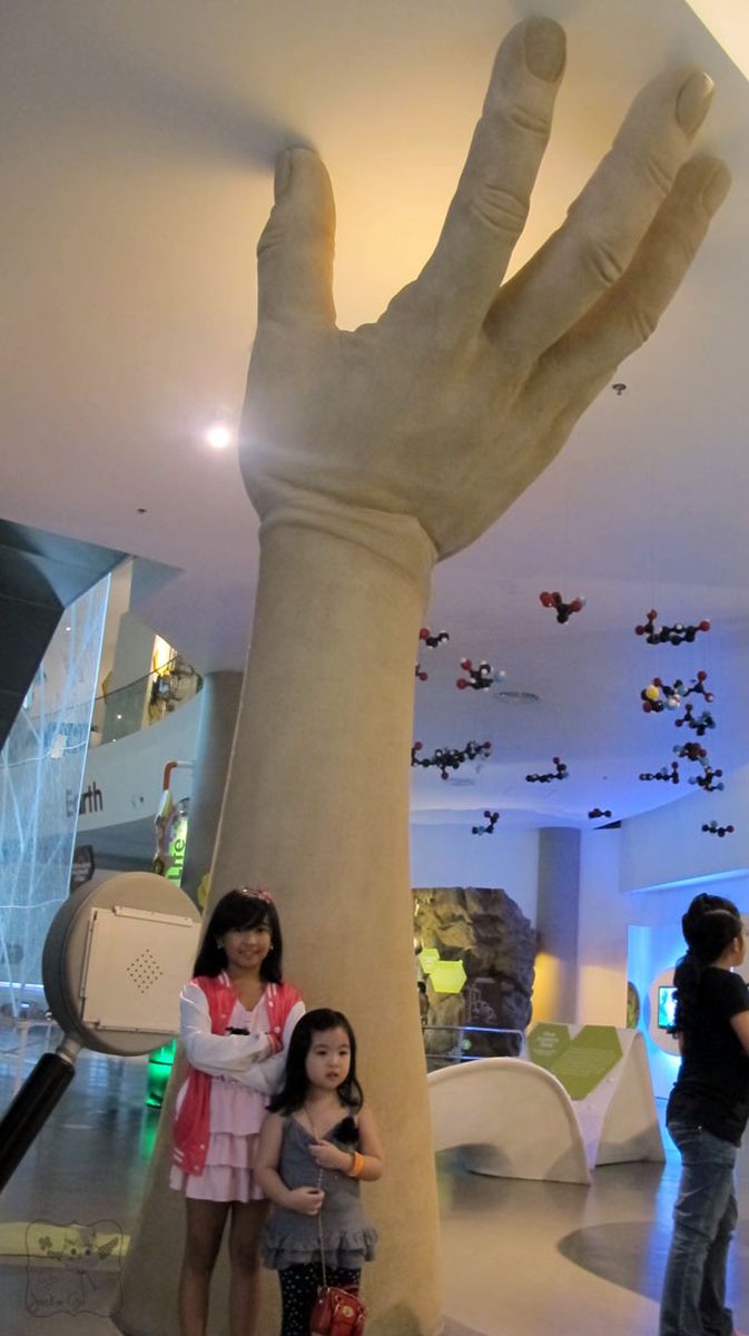 TheMindMuseum11