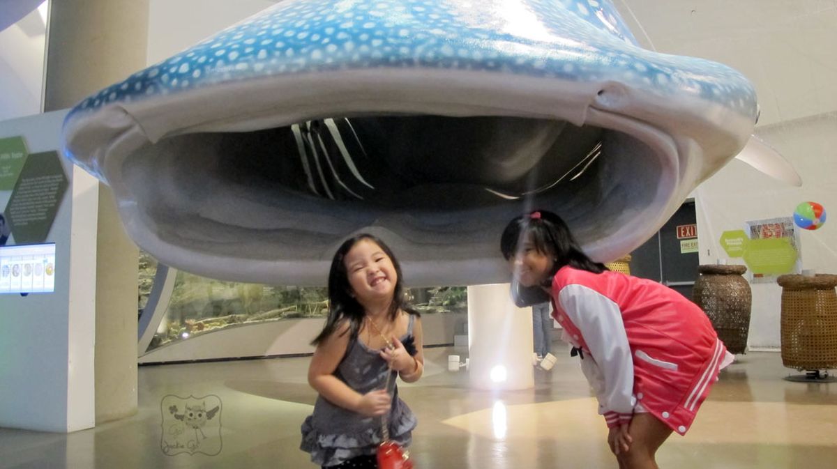 TheMindMuseum12