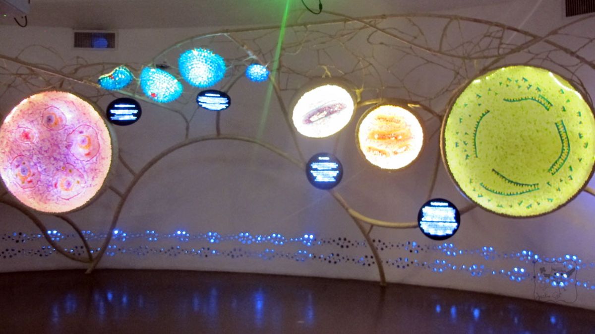 TheMindMuseum2