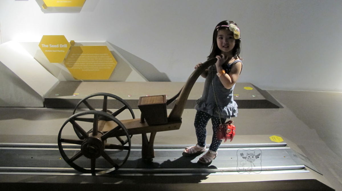 TheMindMuseum22