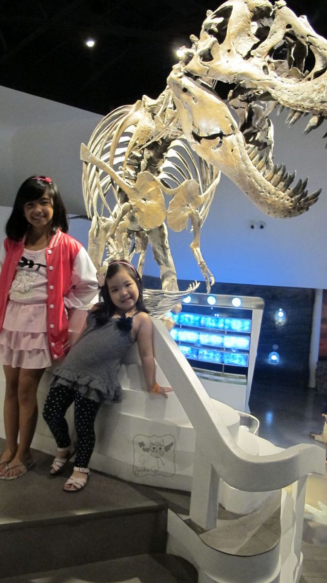 TheMindMuseum6