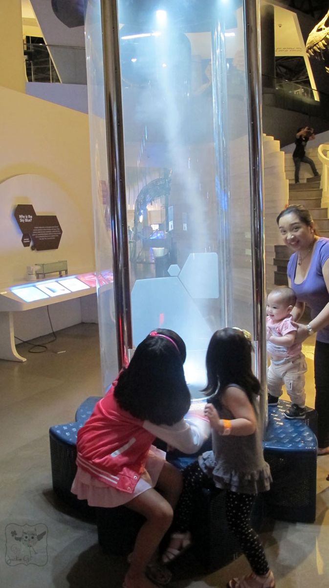 TheMindMuseum7