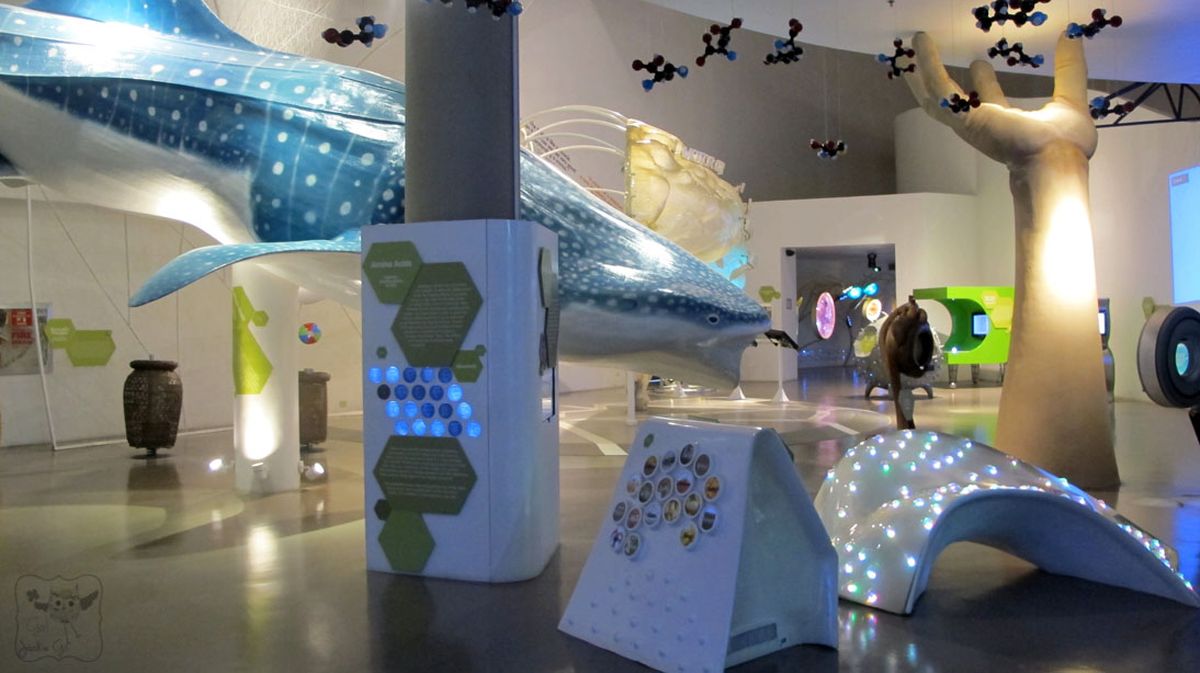 TheMindMuseum9