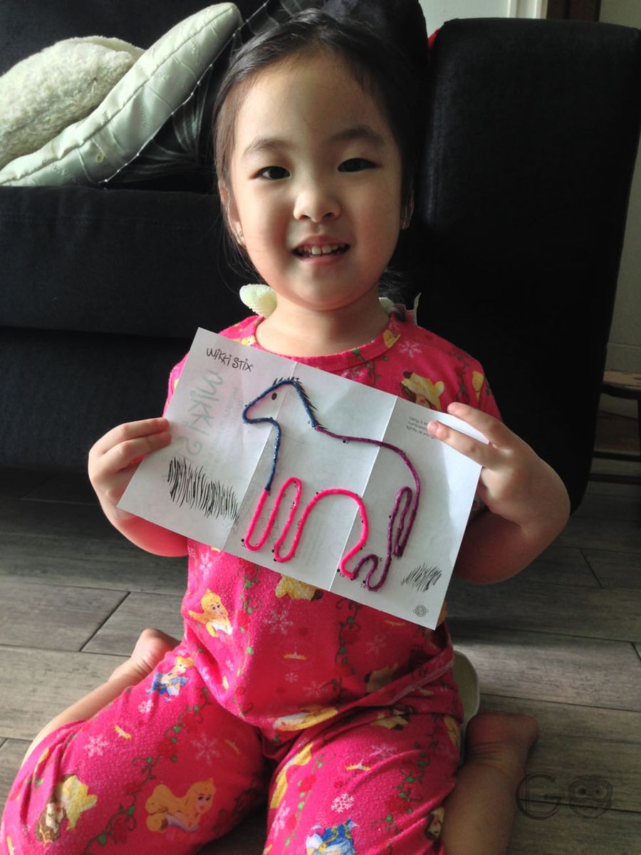 WikkiStix6