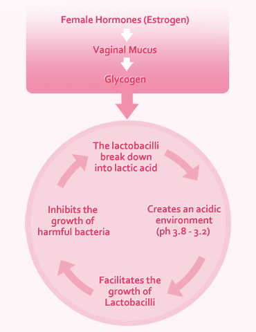 Lactacyd. Intimate Area how it works