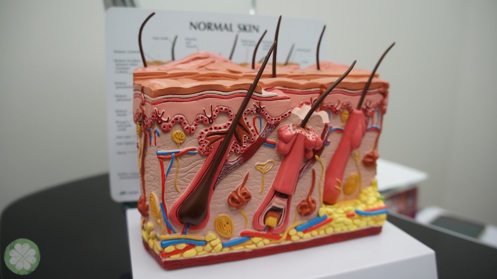Skinlux_Aethetic_Center_Greemhills_Promenade_4