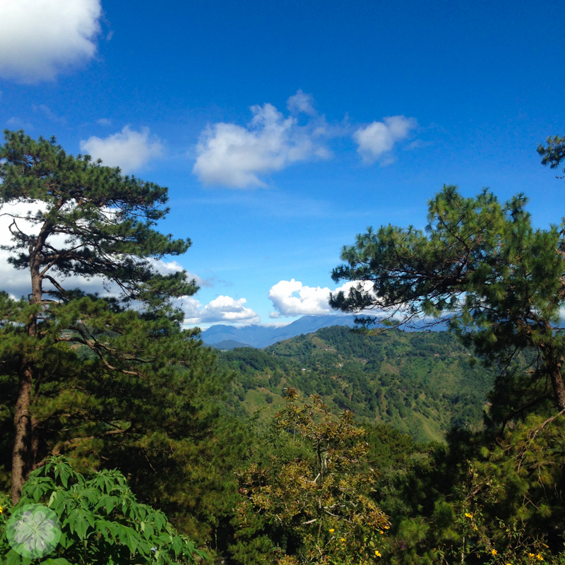 Baguio 2014_39