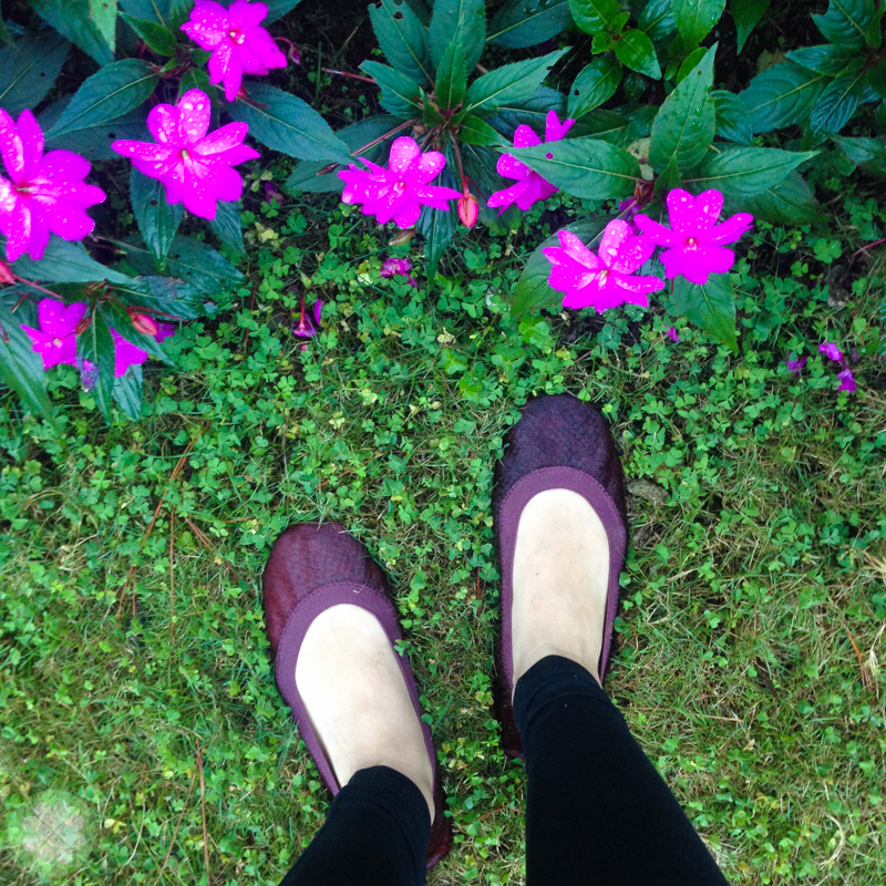 Baguio 2014_41