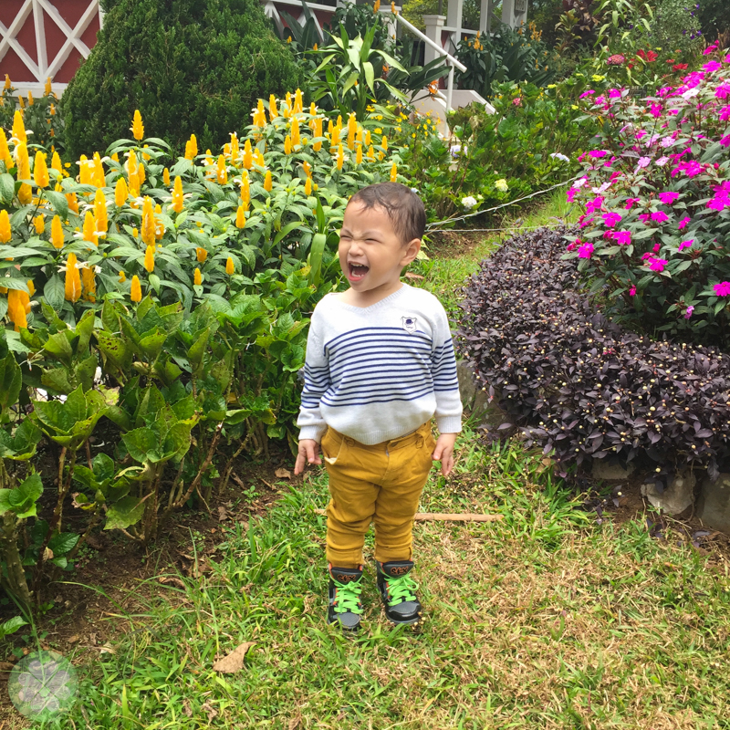 Baguio 2014_45