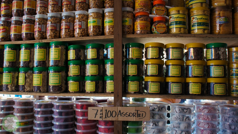 Baguio 2014_6
