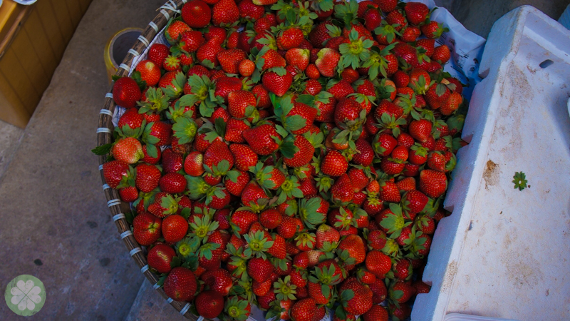 Baguio 2014_8