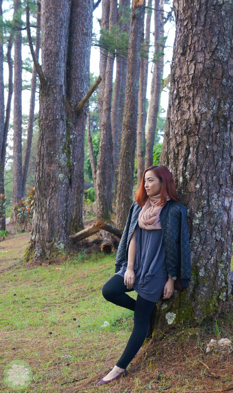 IntoTheWoods