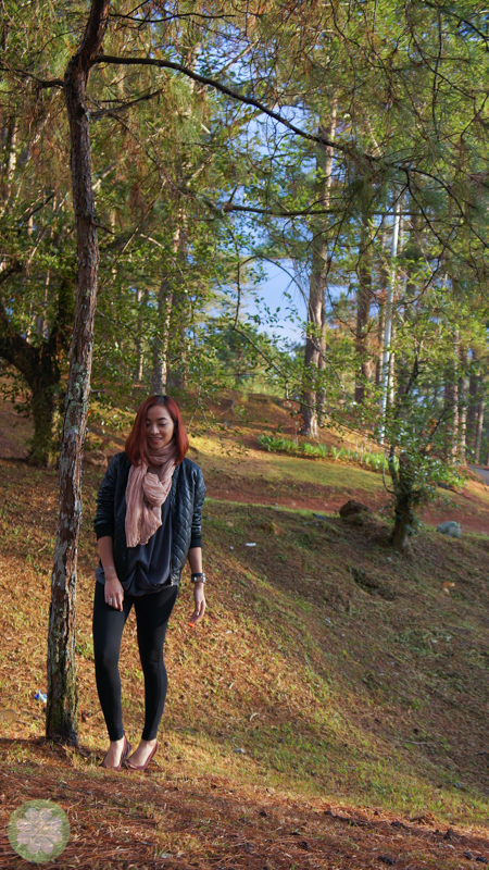 IntoTheWoods_1