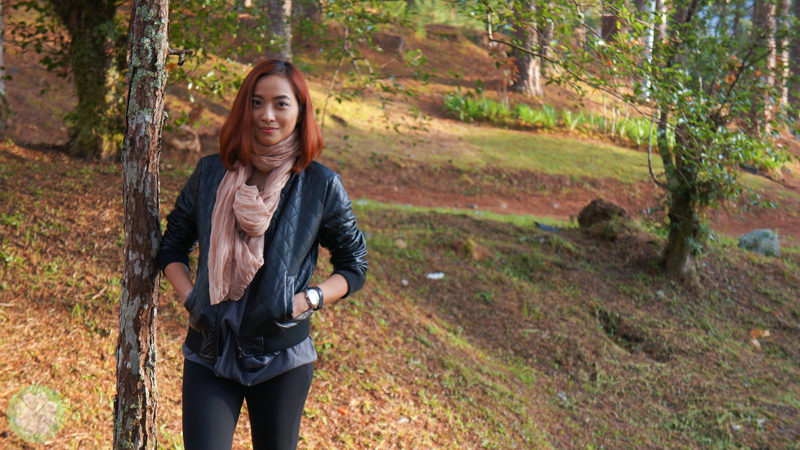 IntoTheWoods_2