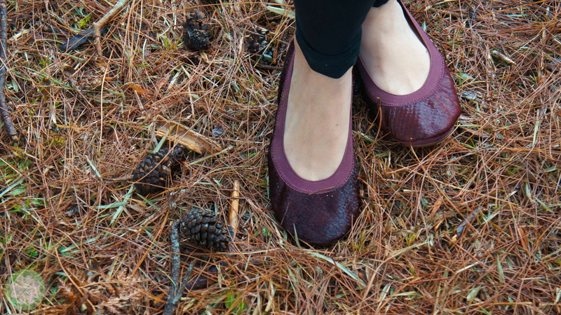 IntoTheWoods_9