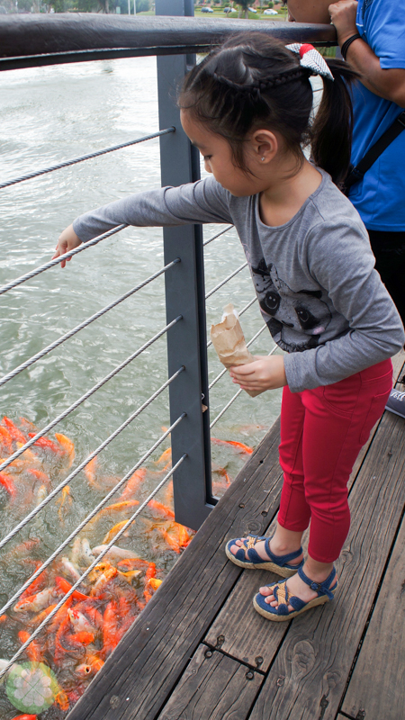 SedaNuvali_FishFeeding_2