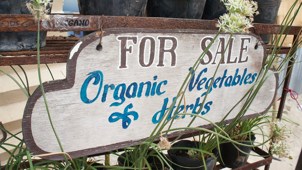 DSC07693-2