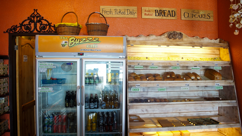 TheBuzzCafe_BoholBeeFarm