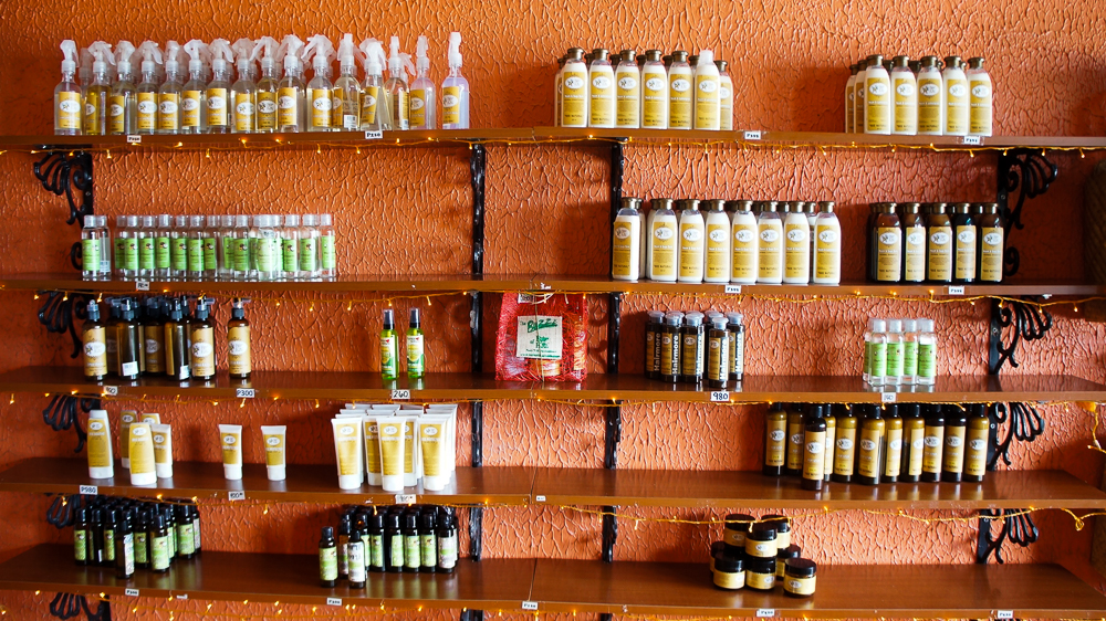 TheBuzzCafe_BoholBeeFarm_2