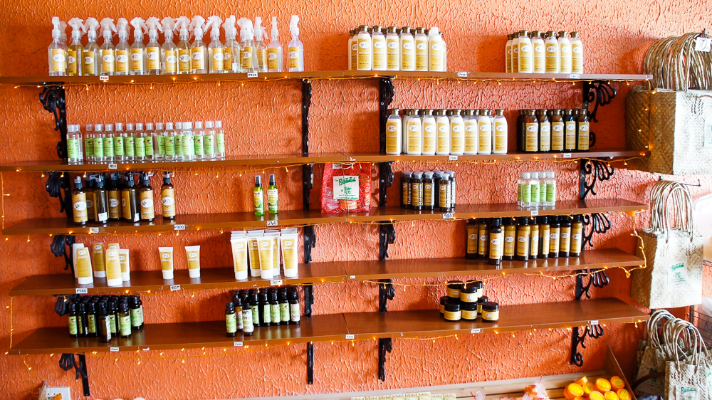 TheBuzzCafe_BoholBeeFarm_3