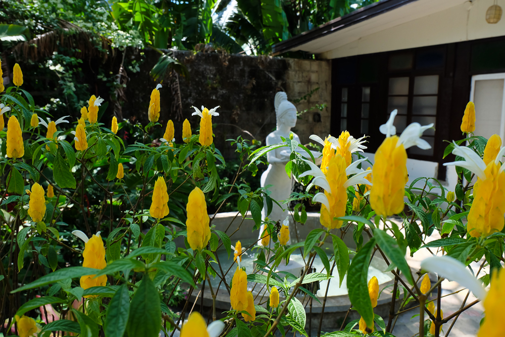 Balay_Indang_37