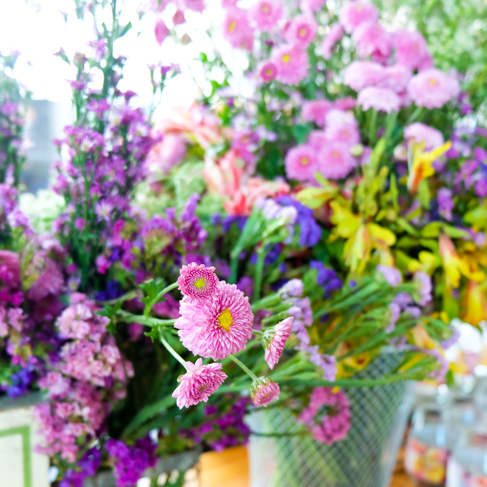 HappySkin_BeautyInBloom_11