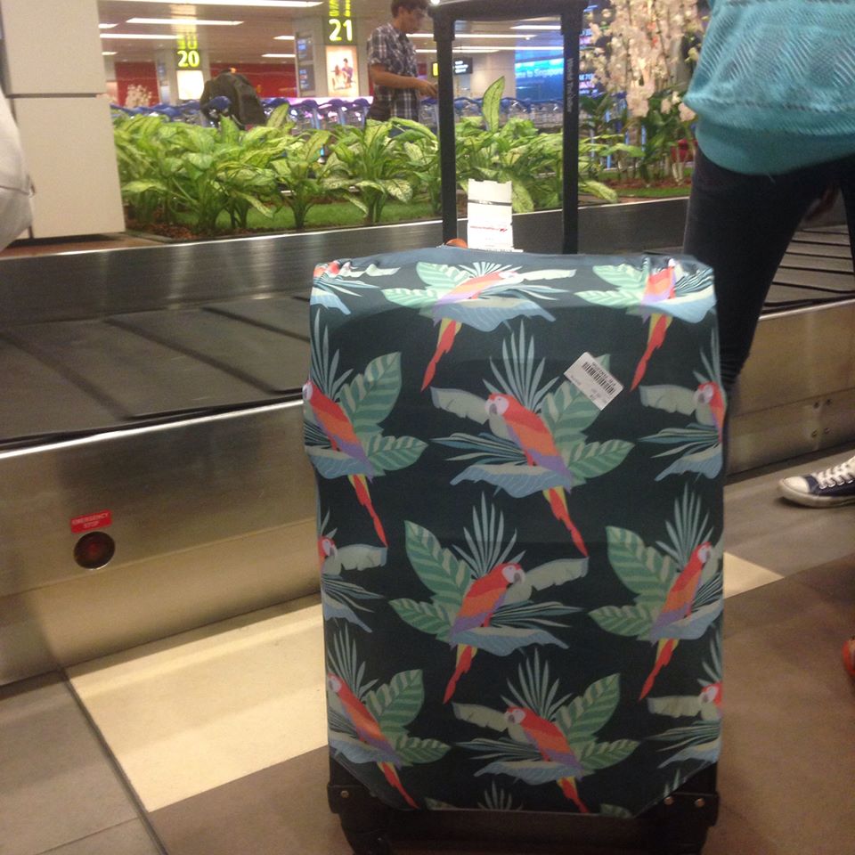 WanderskyeLuggageCover_in_Singapore
