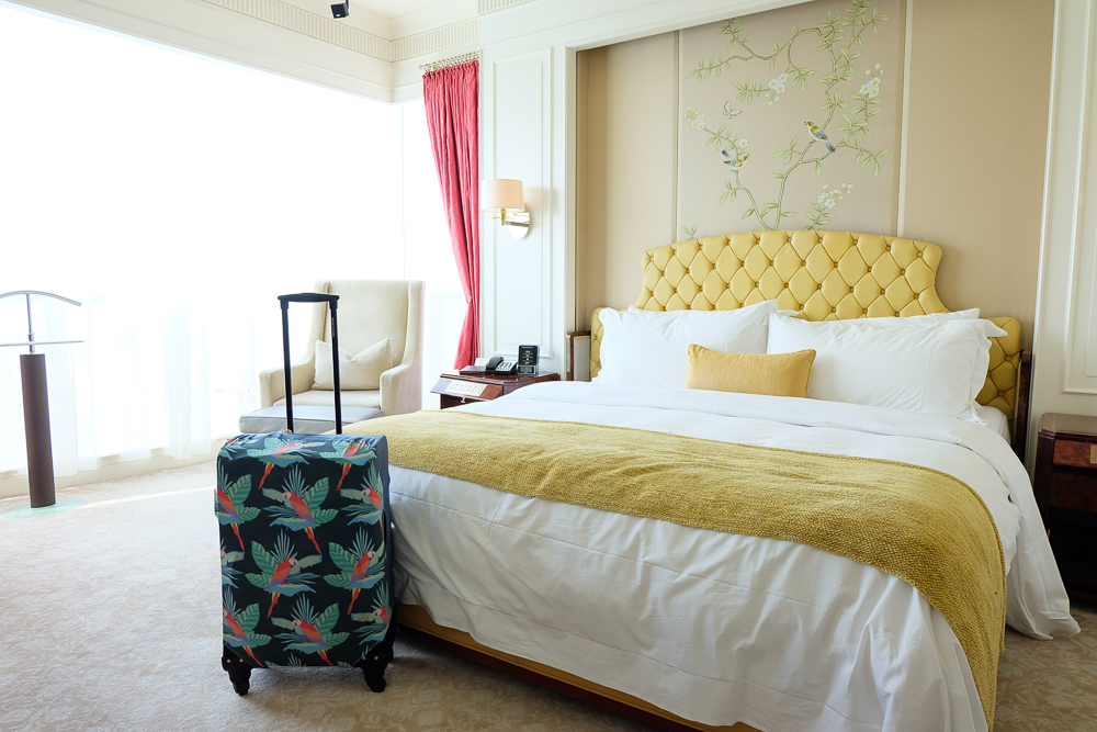 Wanderskye_Luggage_Covers_6
