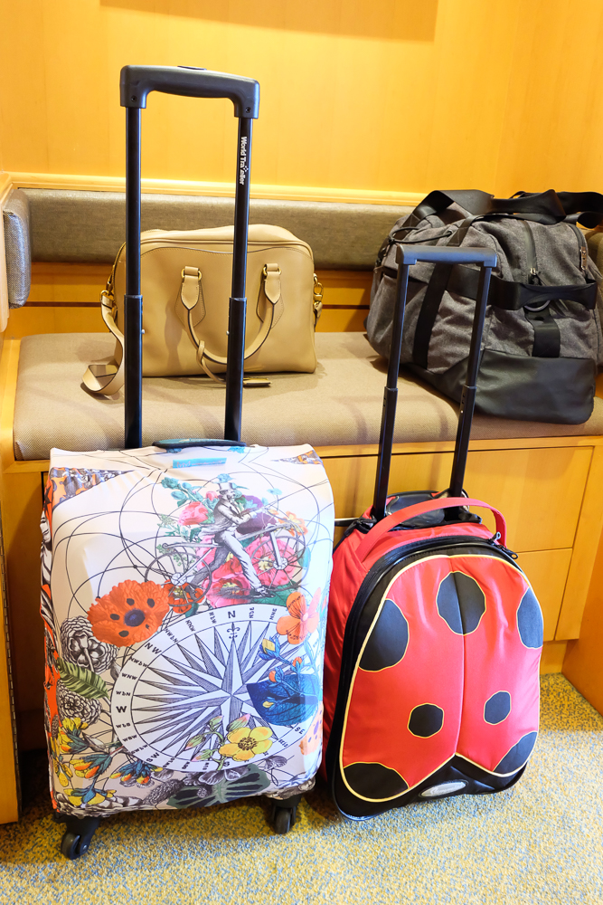 Wanderskye_Luggage_Covers_7