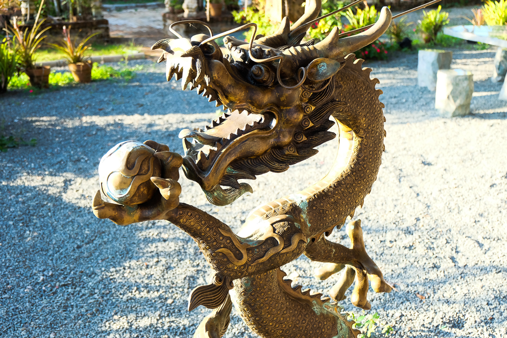 Yoki'sFarm_2