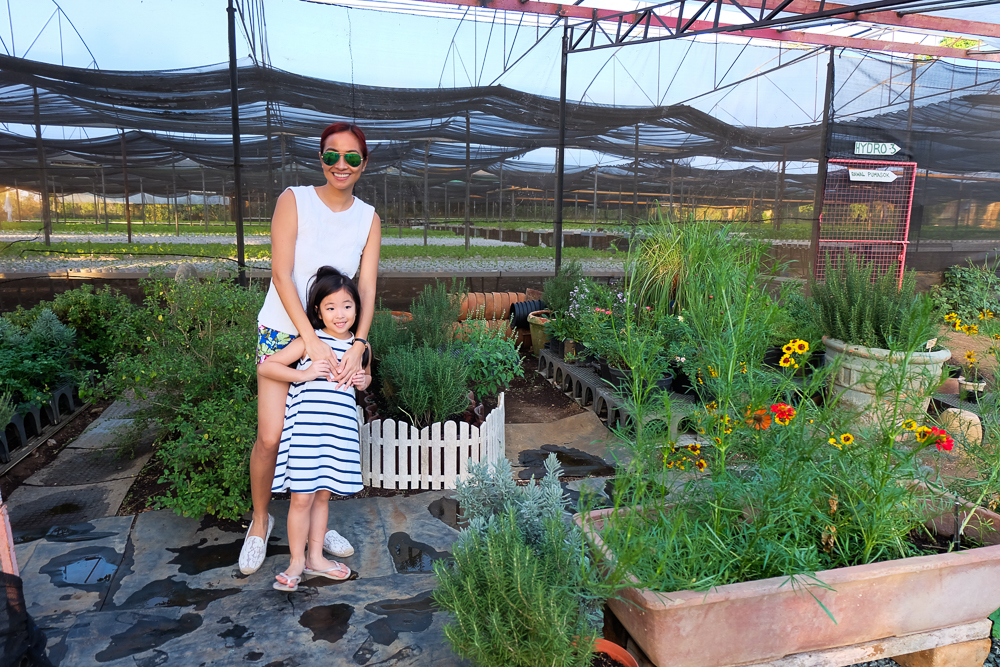 Yoki'sFarm_25