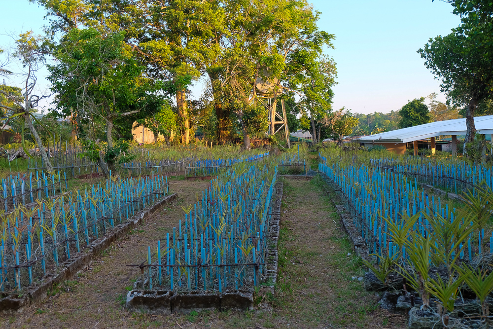 Yoki'sFarm_30