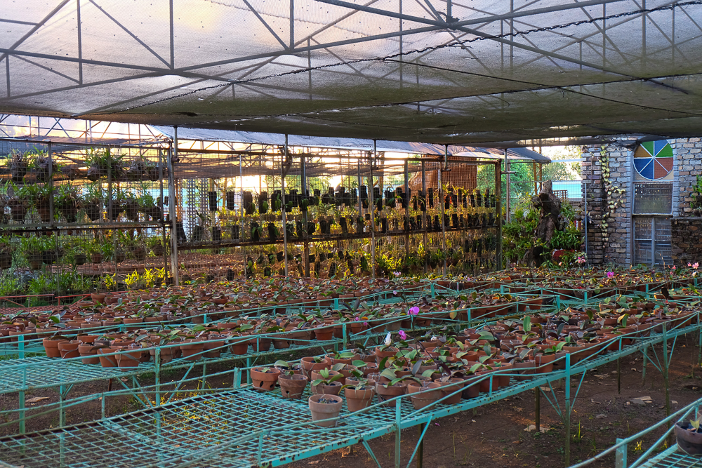 Yoki'sFarm_31