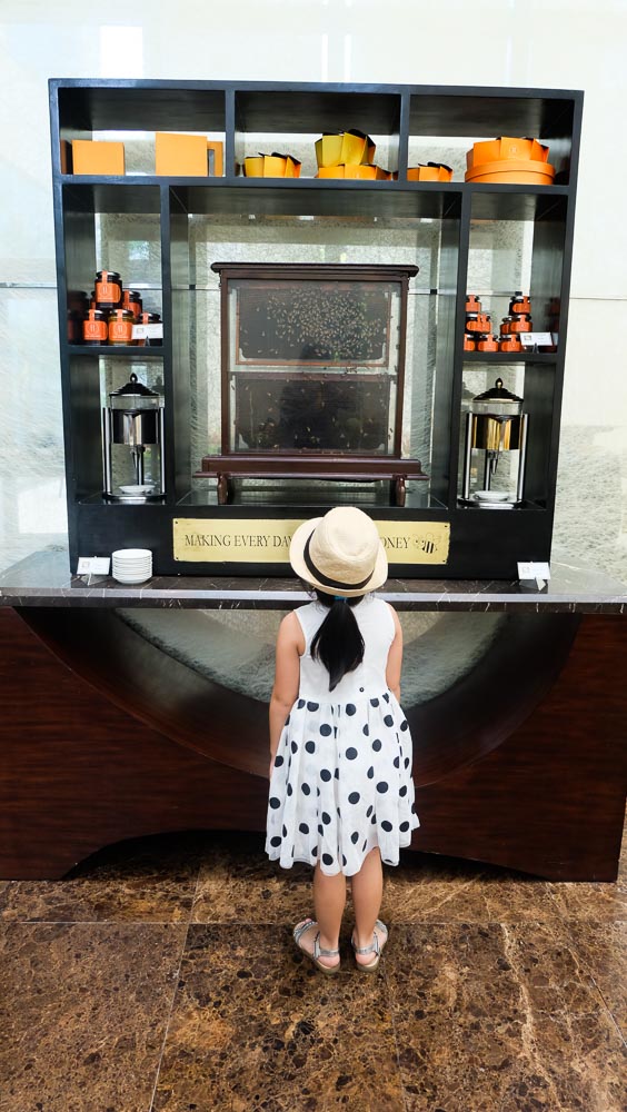 FairmontHotel_SpectrumRestaurant_SweetSundayBrunch_11