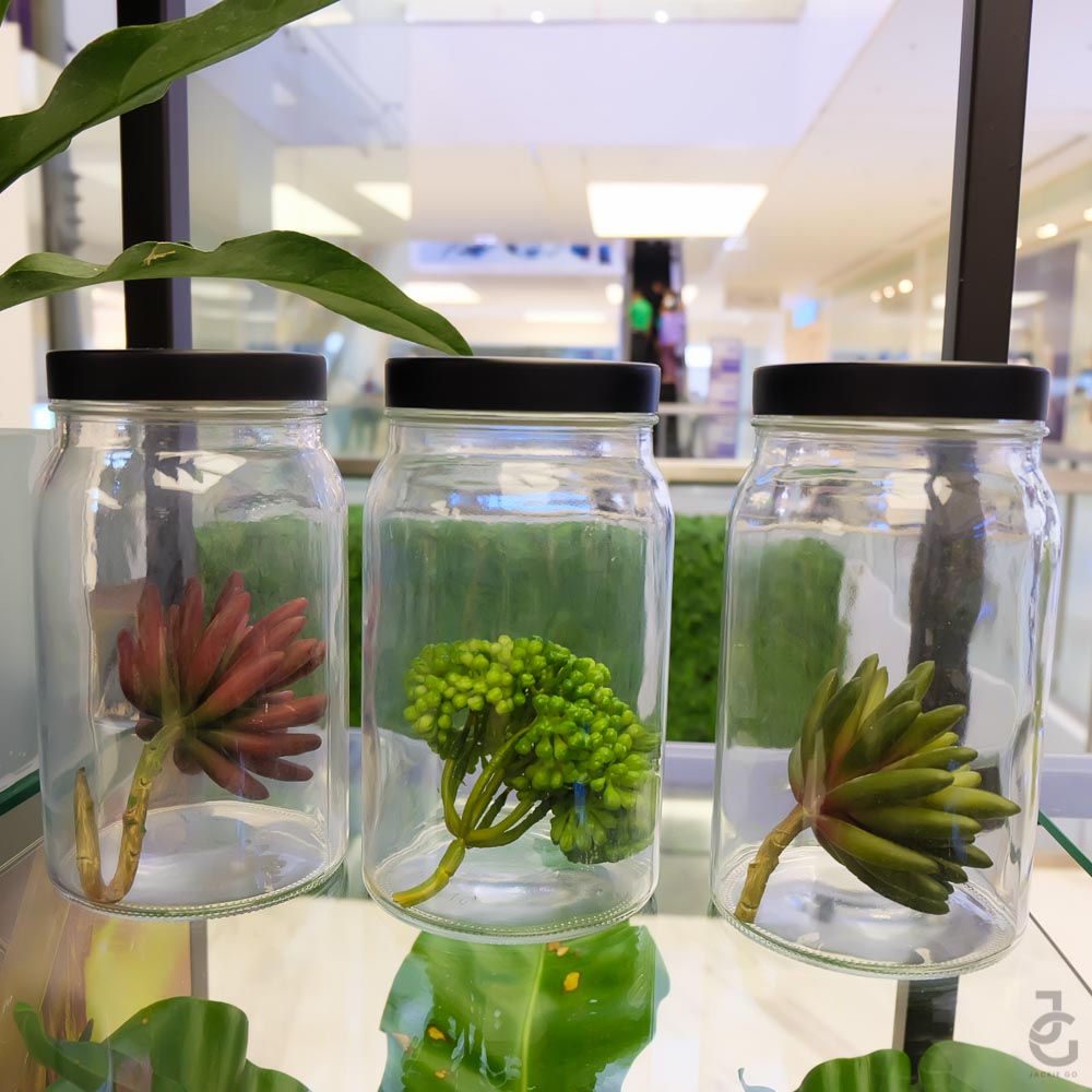 Origins_Beauty_ManilaStore_JackieGo_10