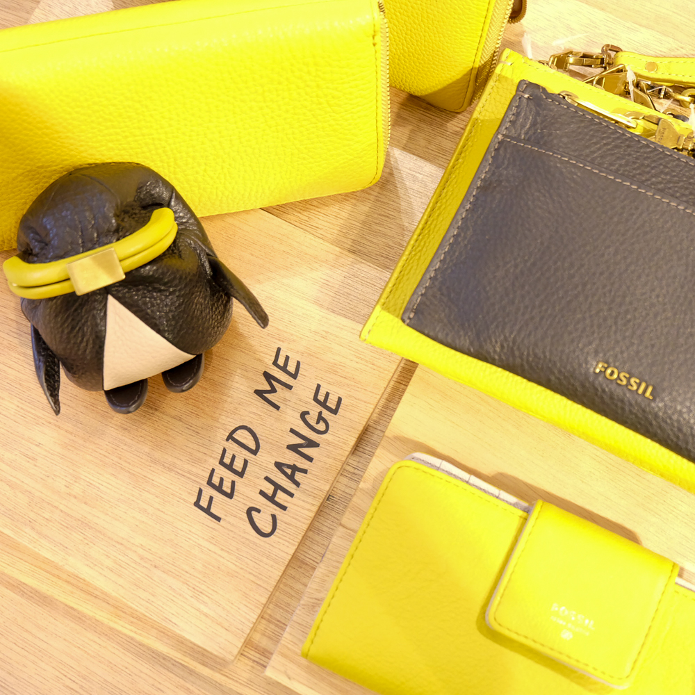 Calling All Curious, Check Out Fossil’s 2015 Collection