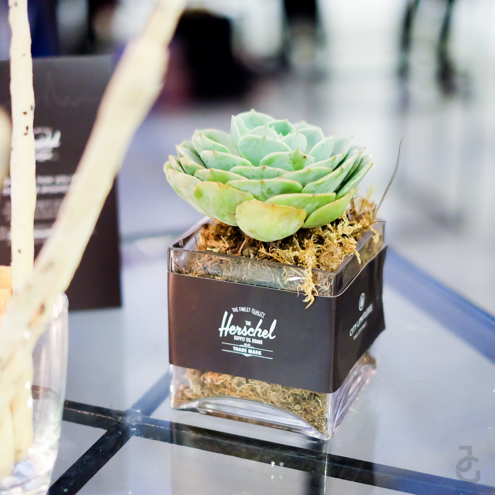 Herschel_CityLimitless_JackieGo_6
