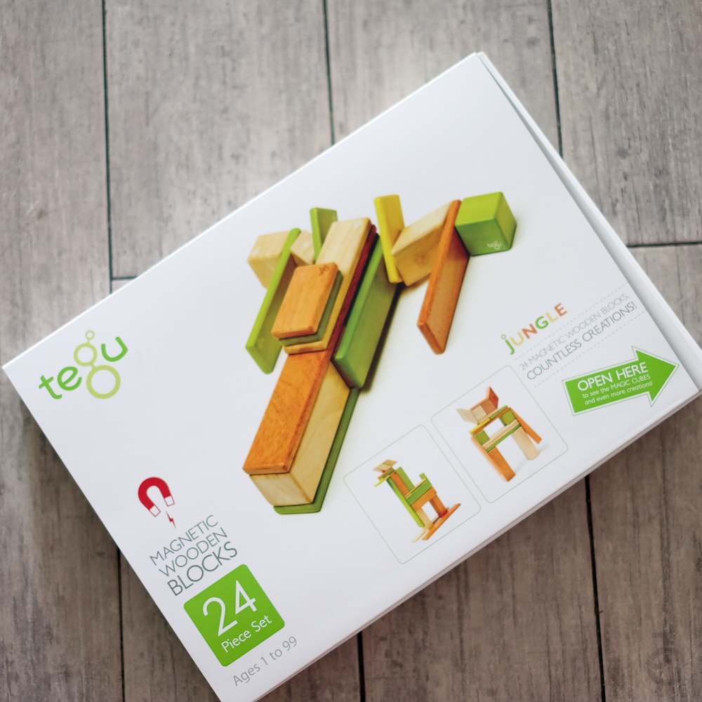Mom Finds: Tegu Magnetic Blocks