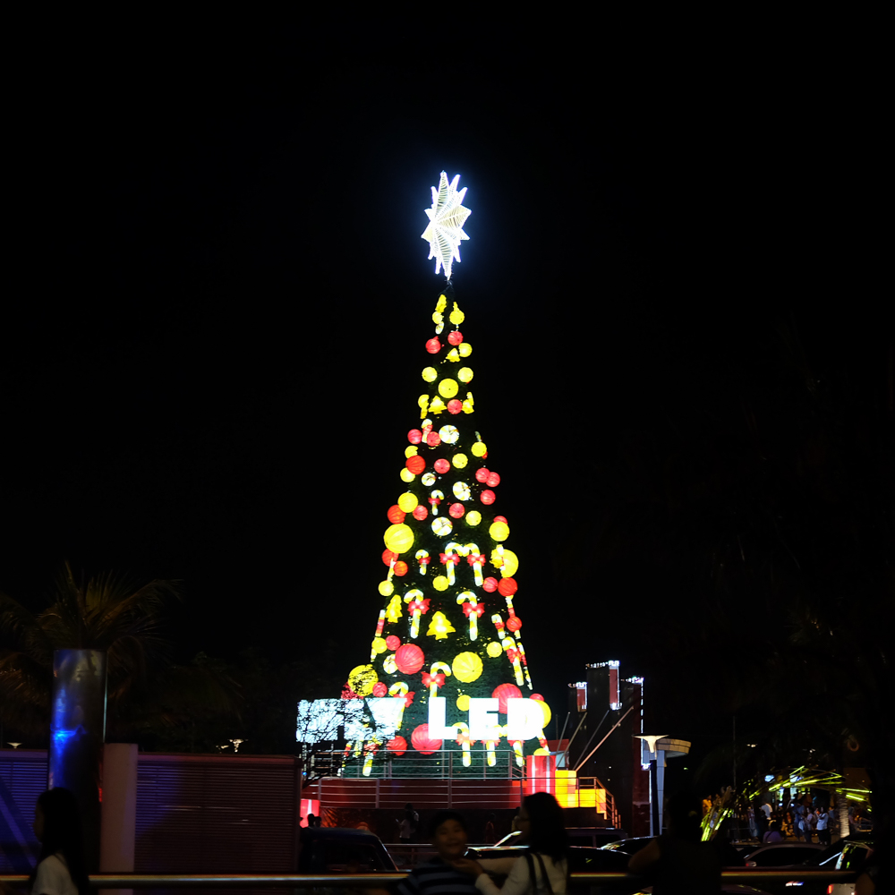 SMMOA_TheGrandFestivalofLights_JackieGo_22