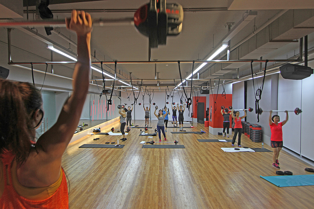 Viridian_GX Studio