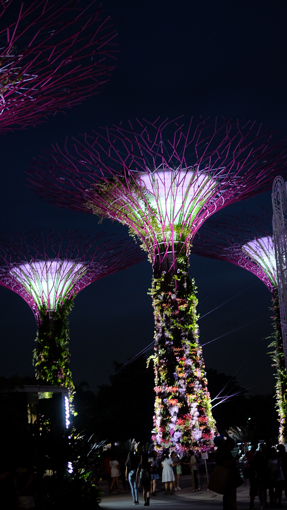 singapore_amusement_gardensbythebay_jackiego_17