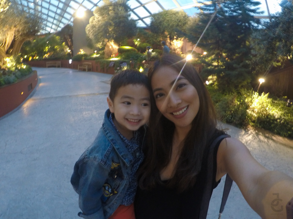 DCIM100GOPROGOPR1658.