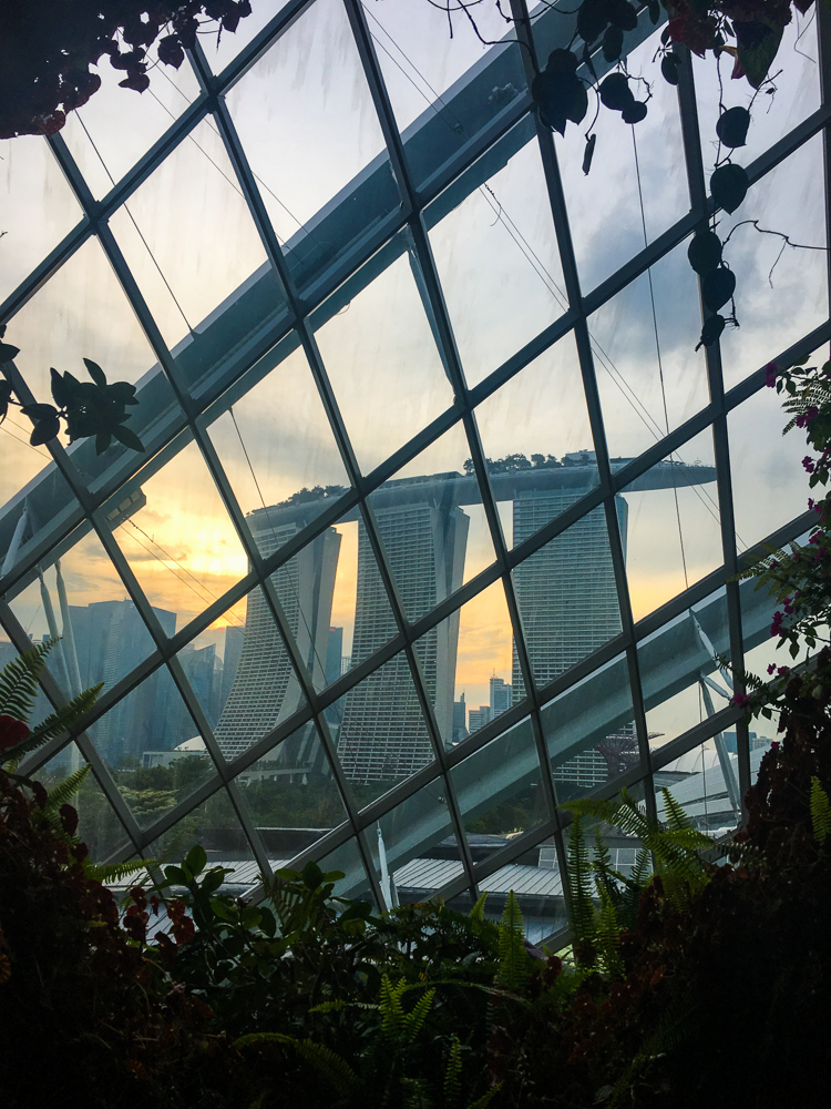 singapore_amusement_gardensbythebay_jackiego_4