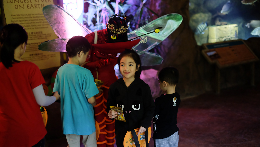 singapore_amusement_riversafari_jackiego_3