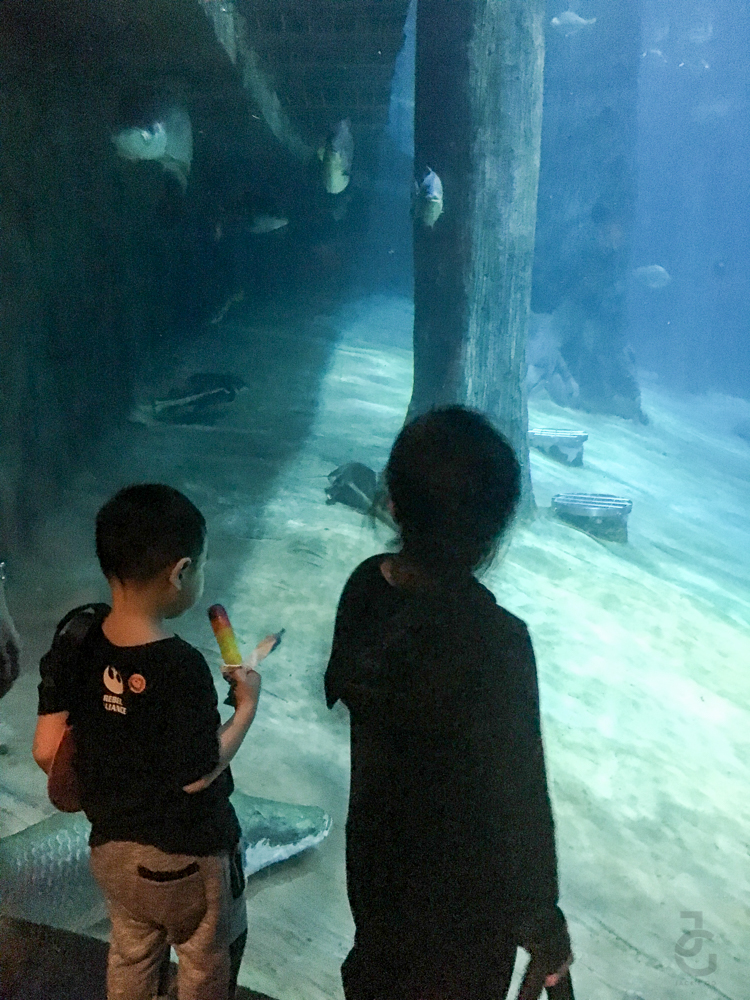 singapore_amusement_riversafari_jackiego_8