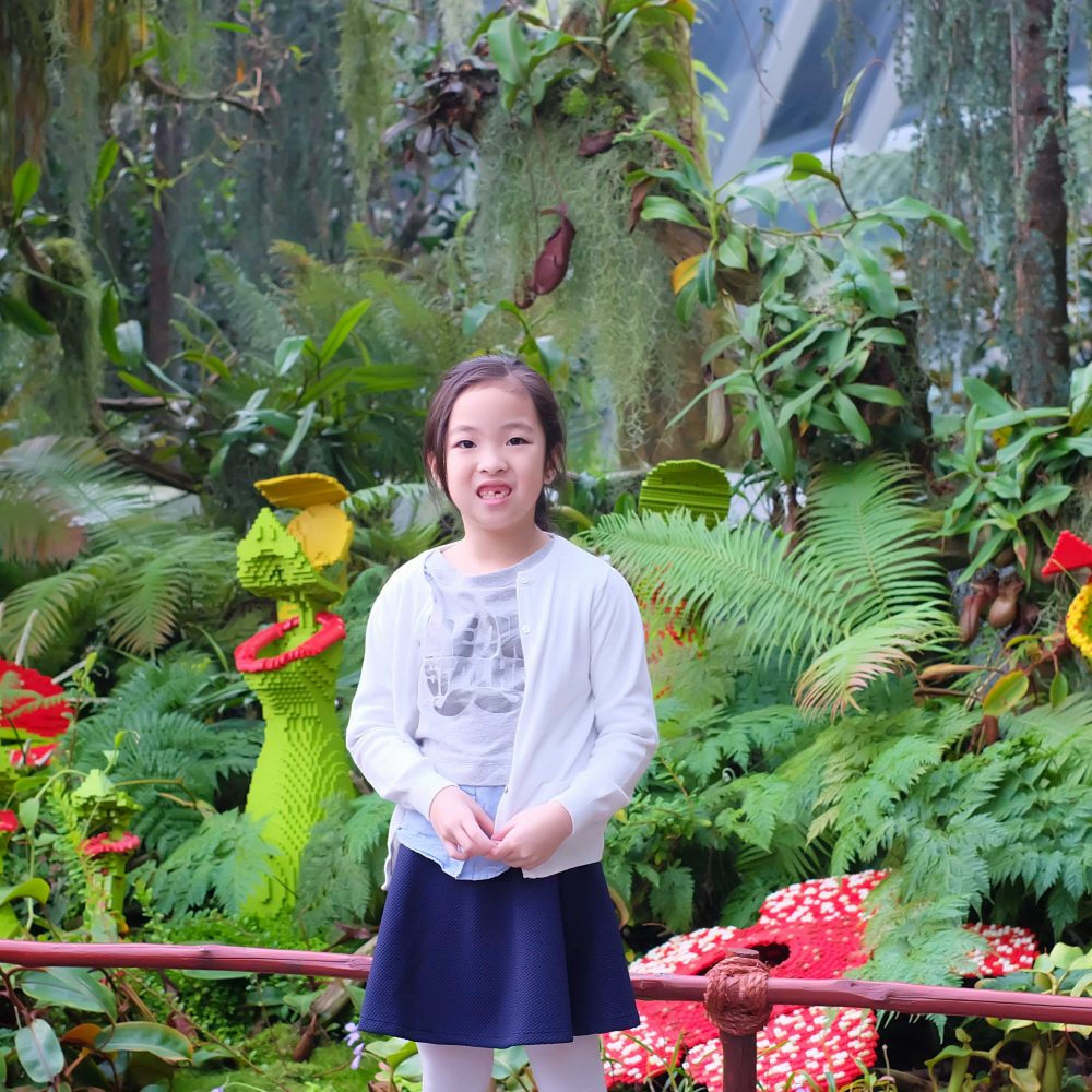 Singapore Through My Daughter’s Eyes