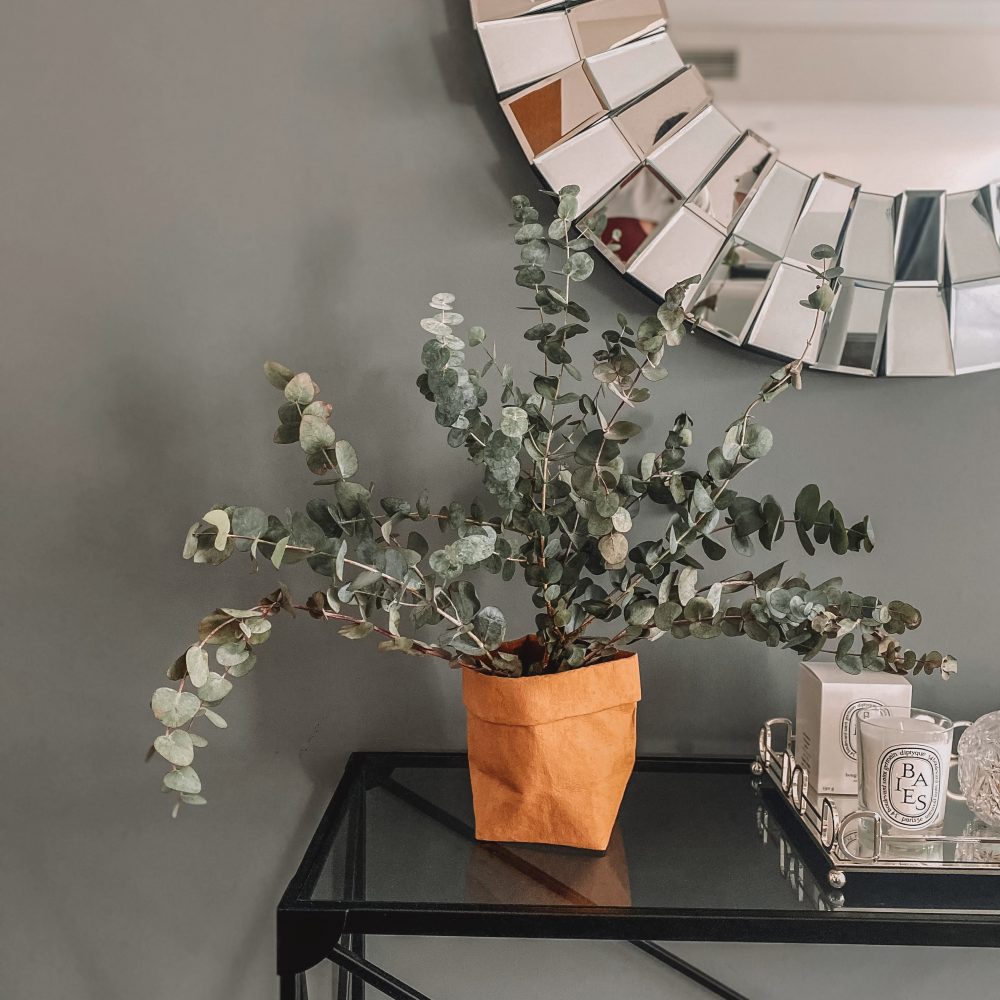 Dubai Diaries: Snippets Of Our Home